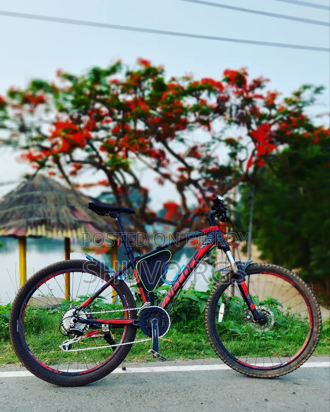 Veloce 603 Upgraded
