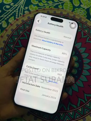 Apple iPhone 15 Pro Max 256 GB Silver