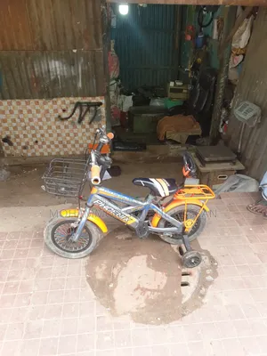 Children Cycle