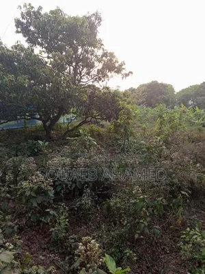 রাস্তার পাশে নির্ভেজাল জমি ক্রয় করুন