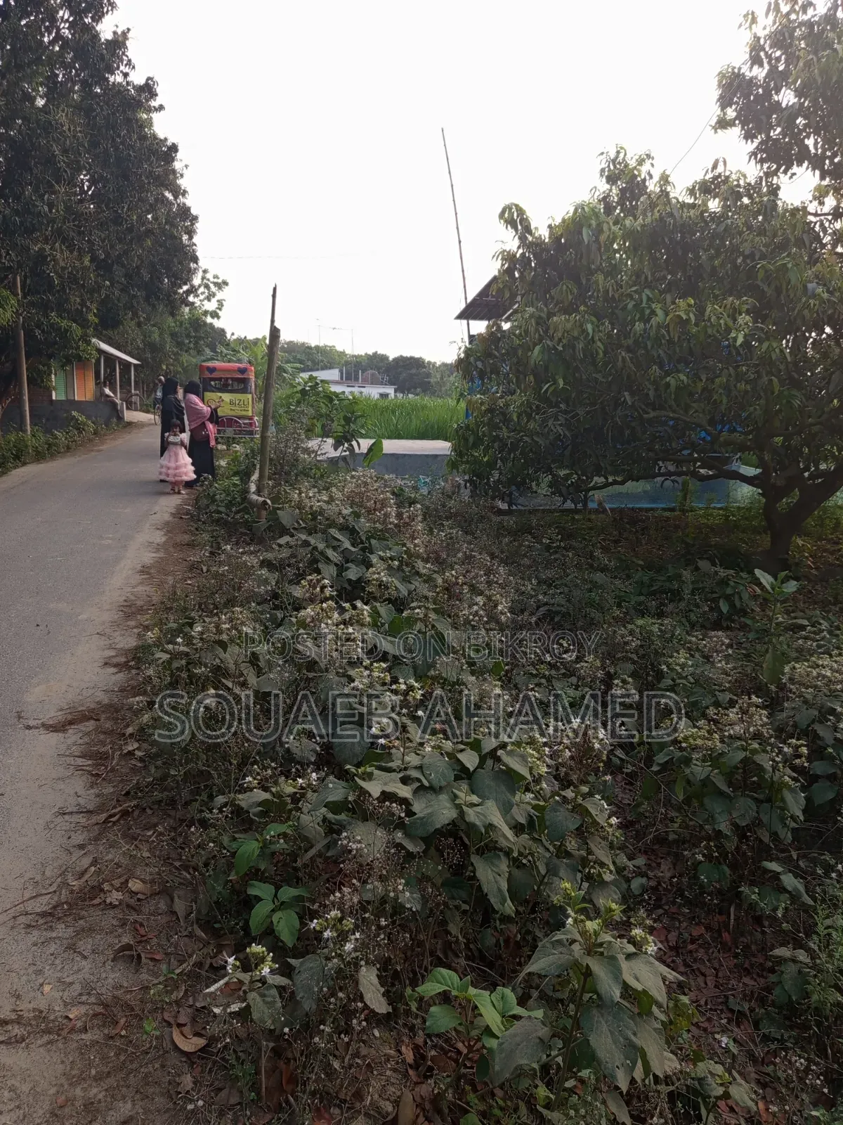 রাস্তার পাশে নির্ভেজাল জমি ক্রয় করুন