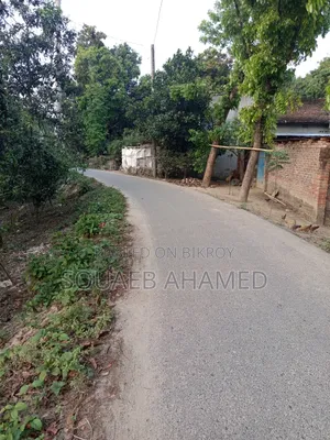 রাস্তার পাশে নির্ভেজাল জমি ক্রয় করুন