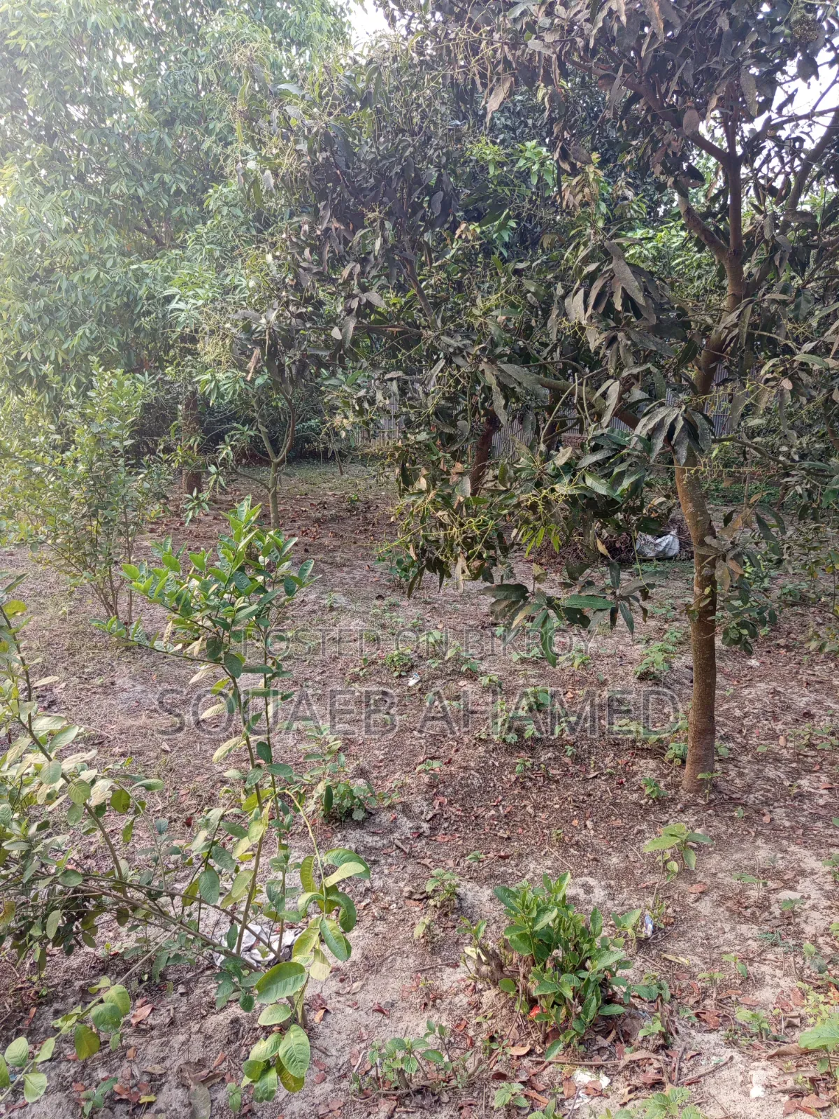 রাস্তার পাশে নির্ভেজাল জমি ক্রয় করুন