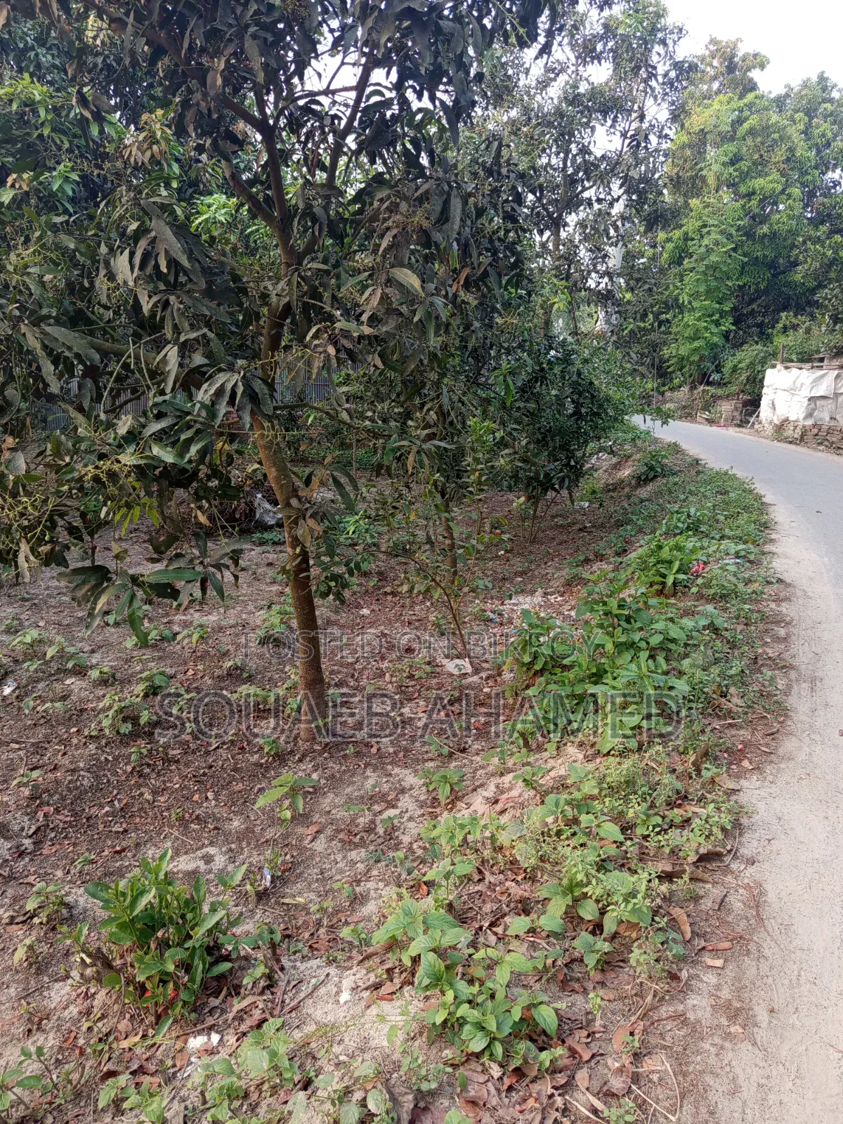 রাস্তার পাশে নির্ভেজাল জমি ক্রয় করুন