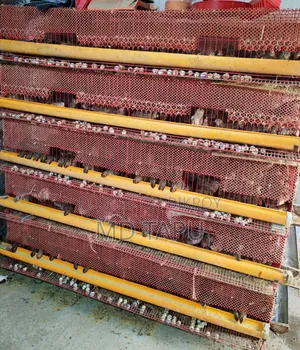 500 Piece Quail Bird Cage