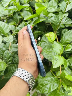 Apple iPhone 12 Pro 256 GB Blue