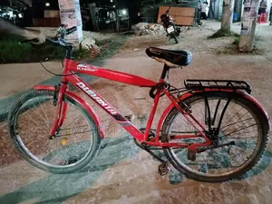 Bicycle for sale