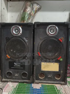 Amplifier With Speaker 8 Inch*2