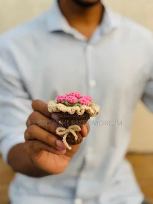 সারপ্রাইজ মিনি তোড়া
