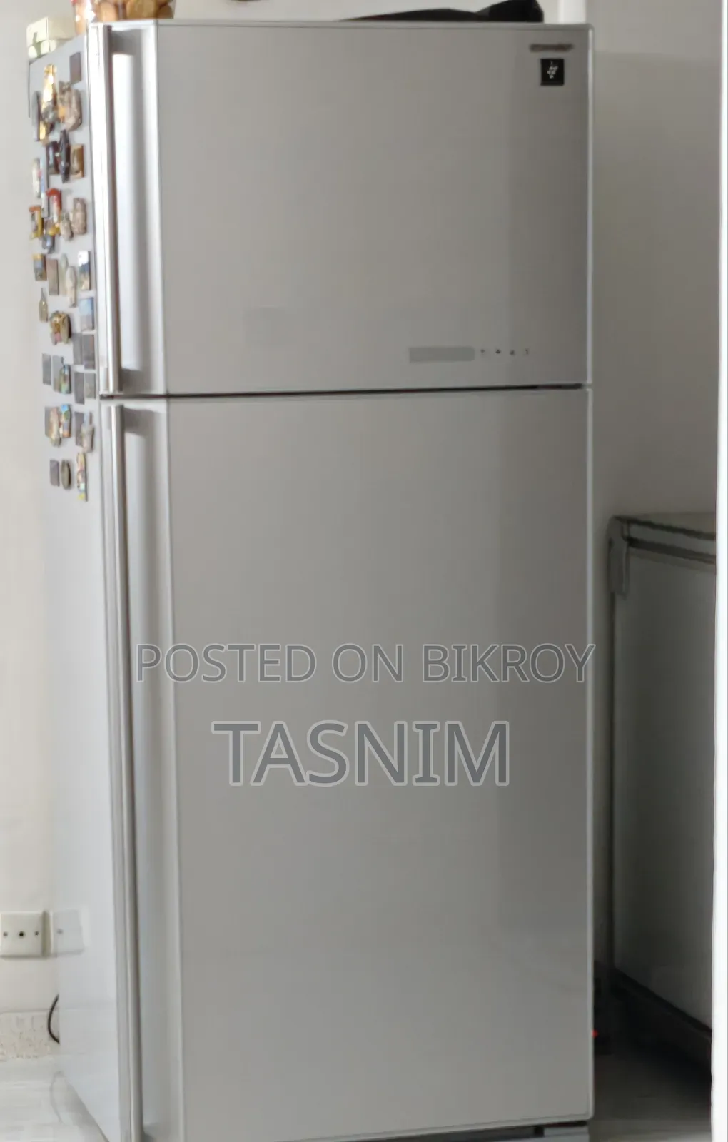 Sharp Fridge