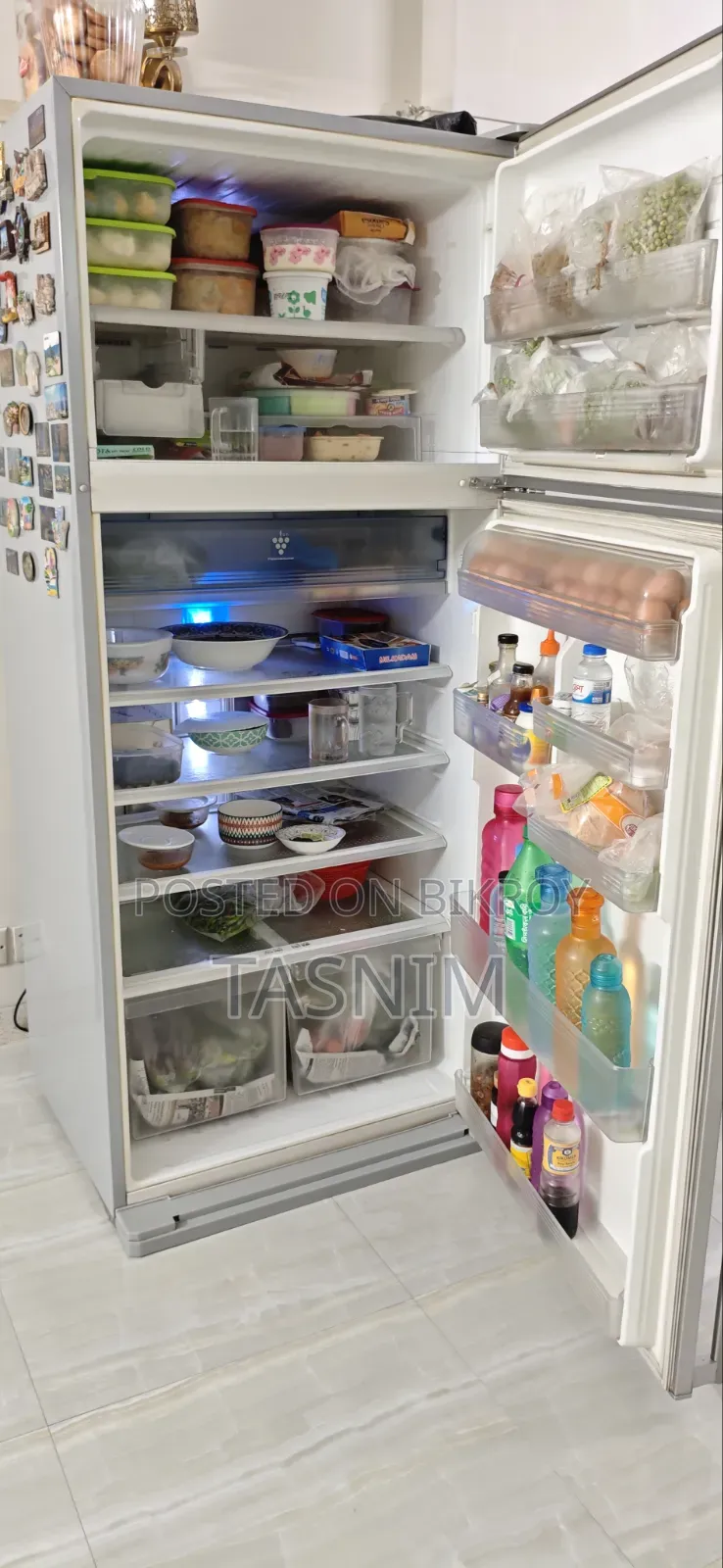 Sharp Fridge