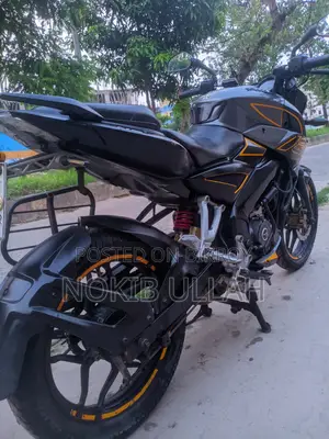 Bajaj Pulsar NS 160 2019 Gray