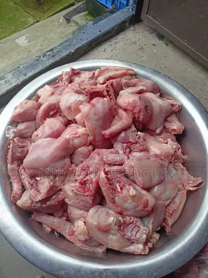 Chicken for dogs and cats
