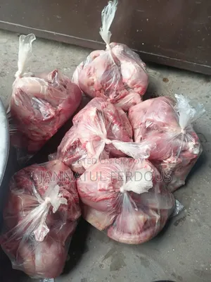 Chicken for dogs and cats