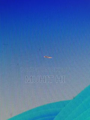 Hp V194 Monitor