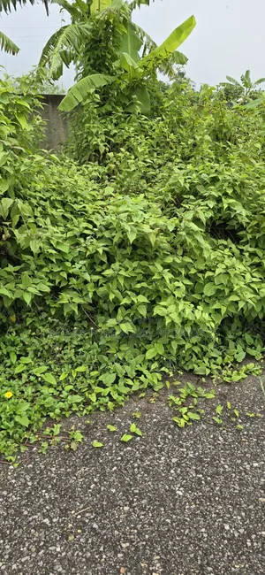 Rajuk Purbachal Sec-28 South Facing Plot