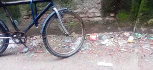 Good Bicycle