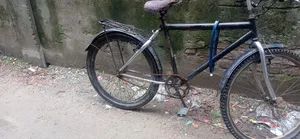 Good Bicycle