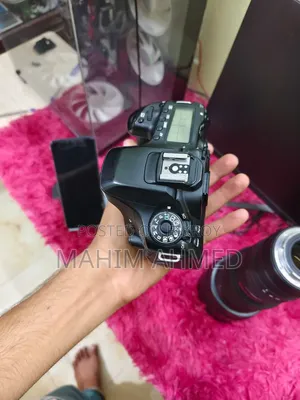 Canon 80d Body