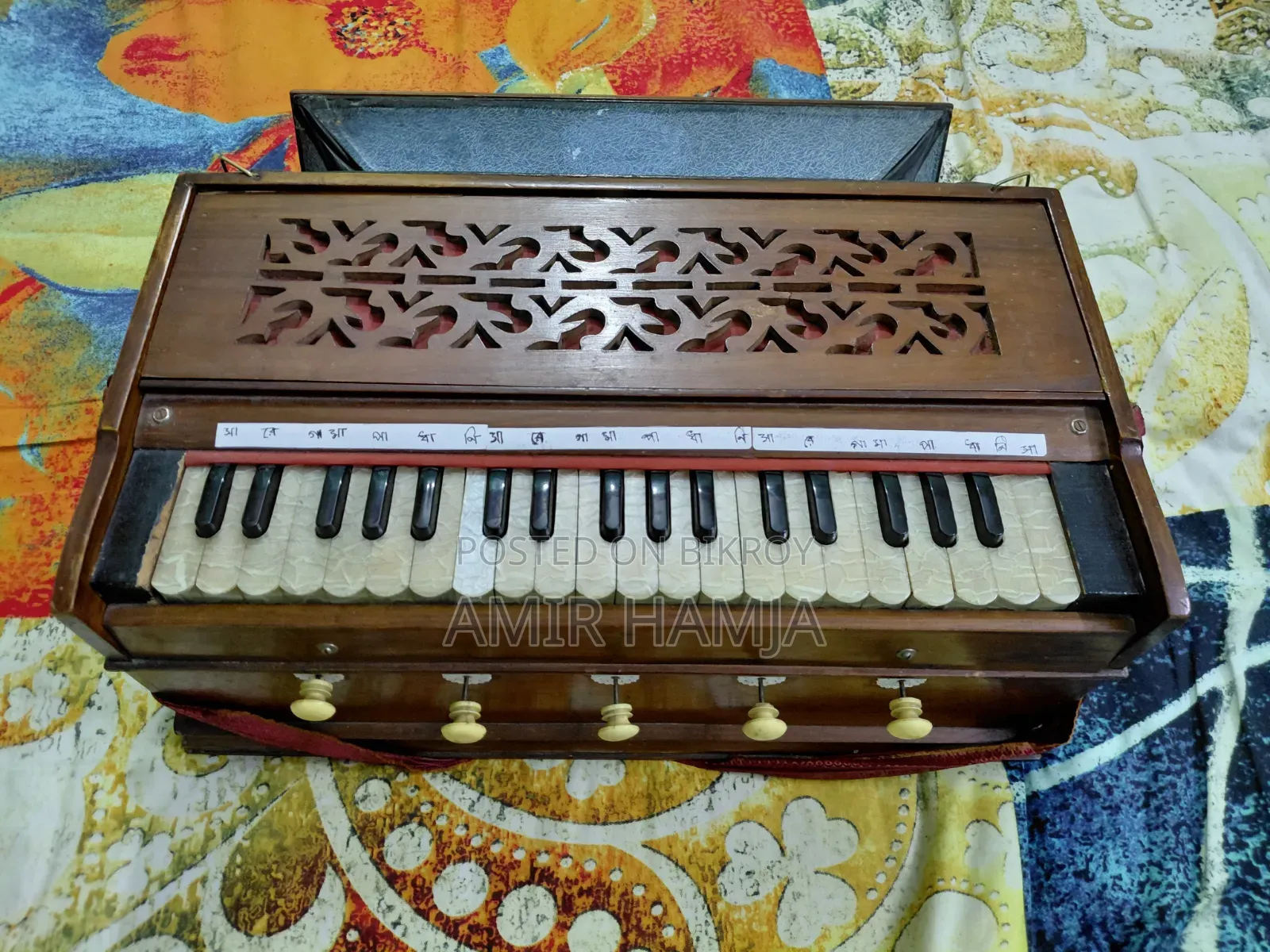 Indian Organ Flute
