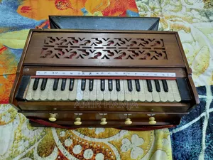 Indian Organ Flute