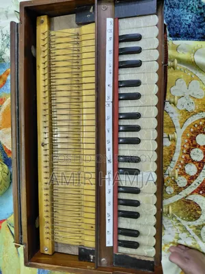 Indian Organ Flute