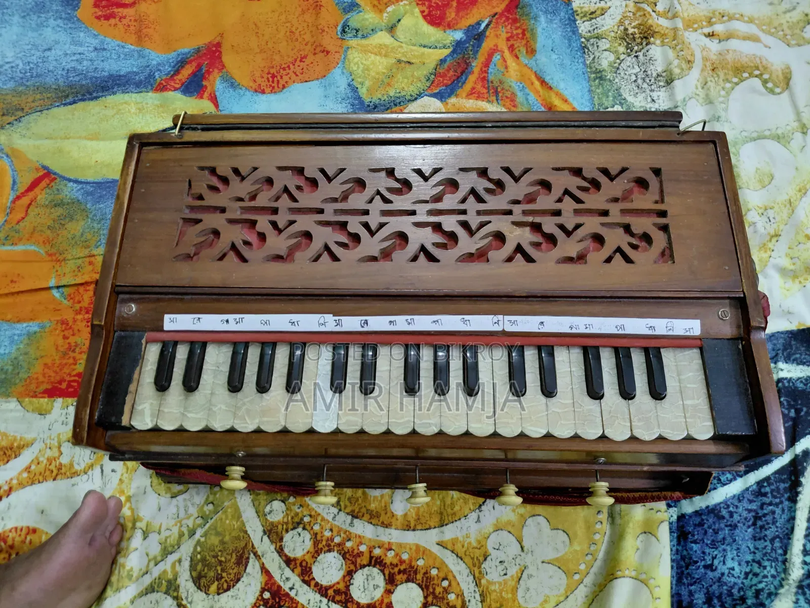 Indian Organ Flute