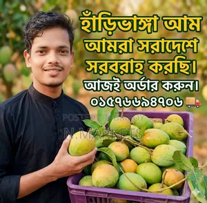 Haribhanga Mango from Rangpur