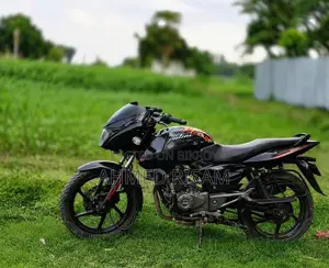 Bajaj Pulsar 150 2013 Black