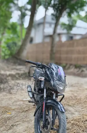 Bajaj Pulsar 150 2013 Black