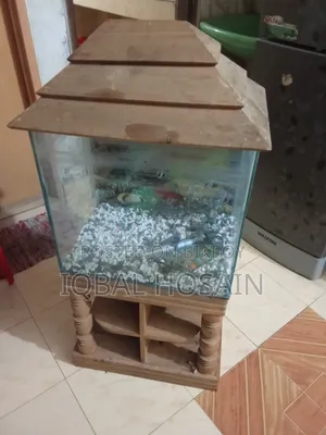 Aquarium For Fish