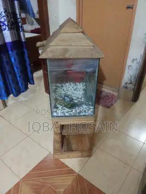 Aquarium For Fish