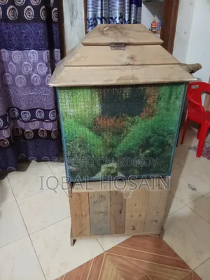 Aquarium For Fish