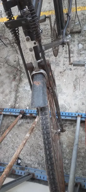 Avon Bicycle
