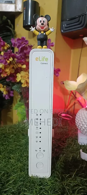 Dubai Etisalat Wi-Fi 6 Connect C1aa