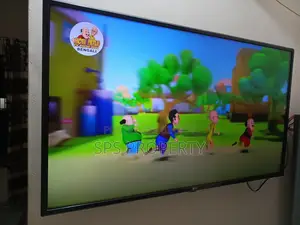 LG Smart 43" TV