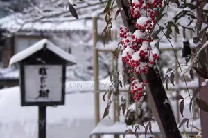 Tourist Visa Japan