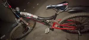 Prince Cycle