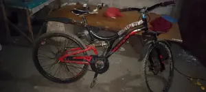 Prince Cycle