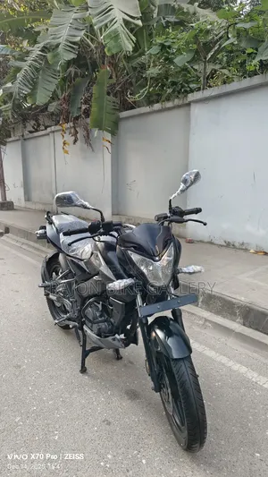 Bajaj Pulsar NS 160 2020 Gray