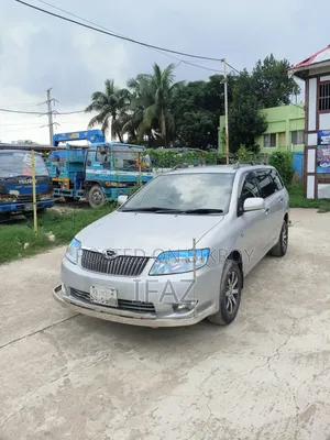 Toyota Corolla Fielder 2005 Silver