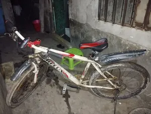 Relux Bicycle
