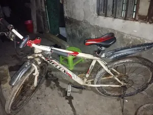 Relux Bicycle