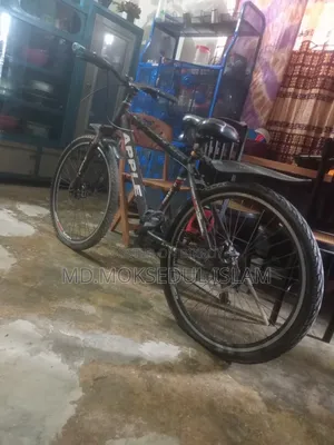 Will sell the bicycle