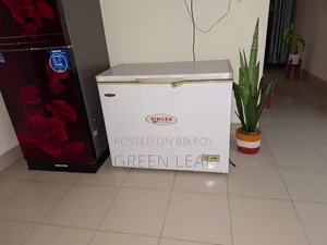 Deep Freezer ( Singer )