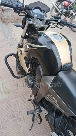 Yamaha FZ 2013 Gold