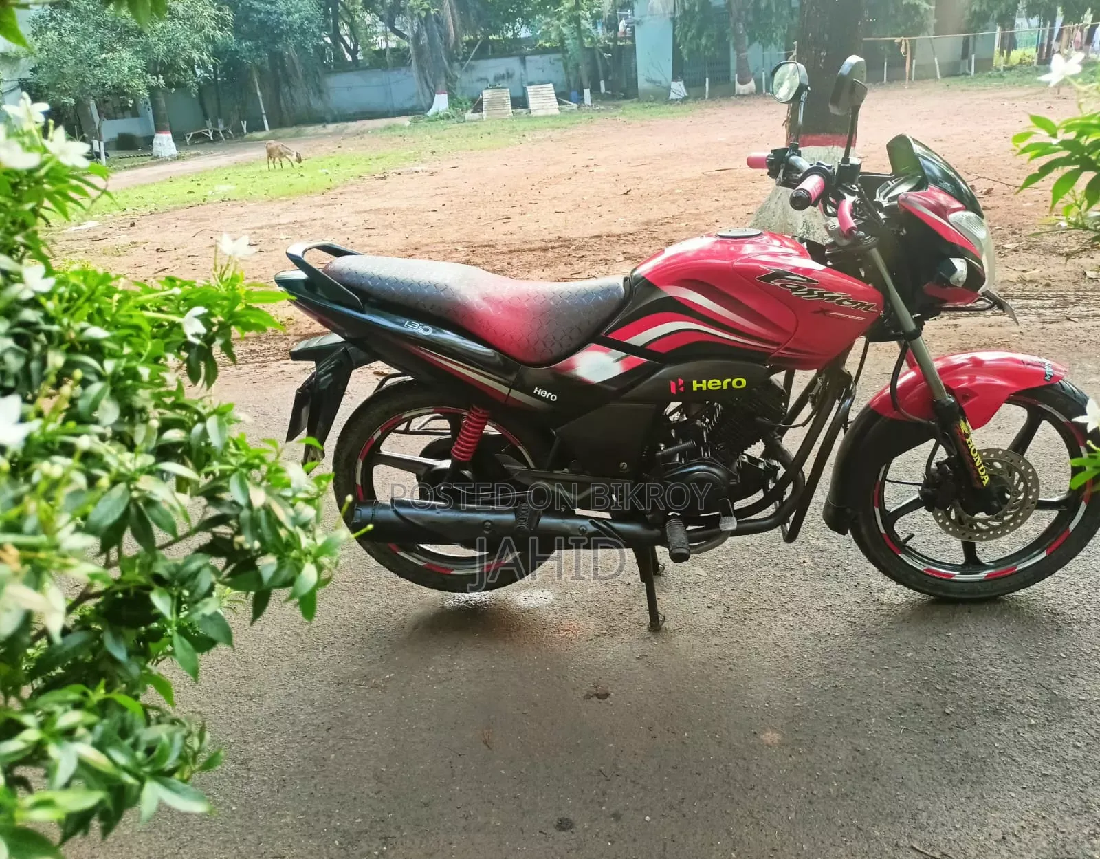 Hero Passion Xpro i3S 2022 Red