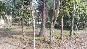 বিশ্বরোড টেক্সটাইল কলেজের সামনে নিজের ৪ কাঠা জমি বিক্রয়