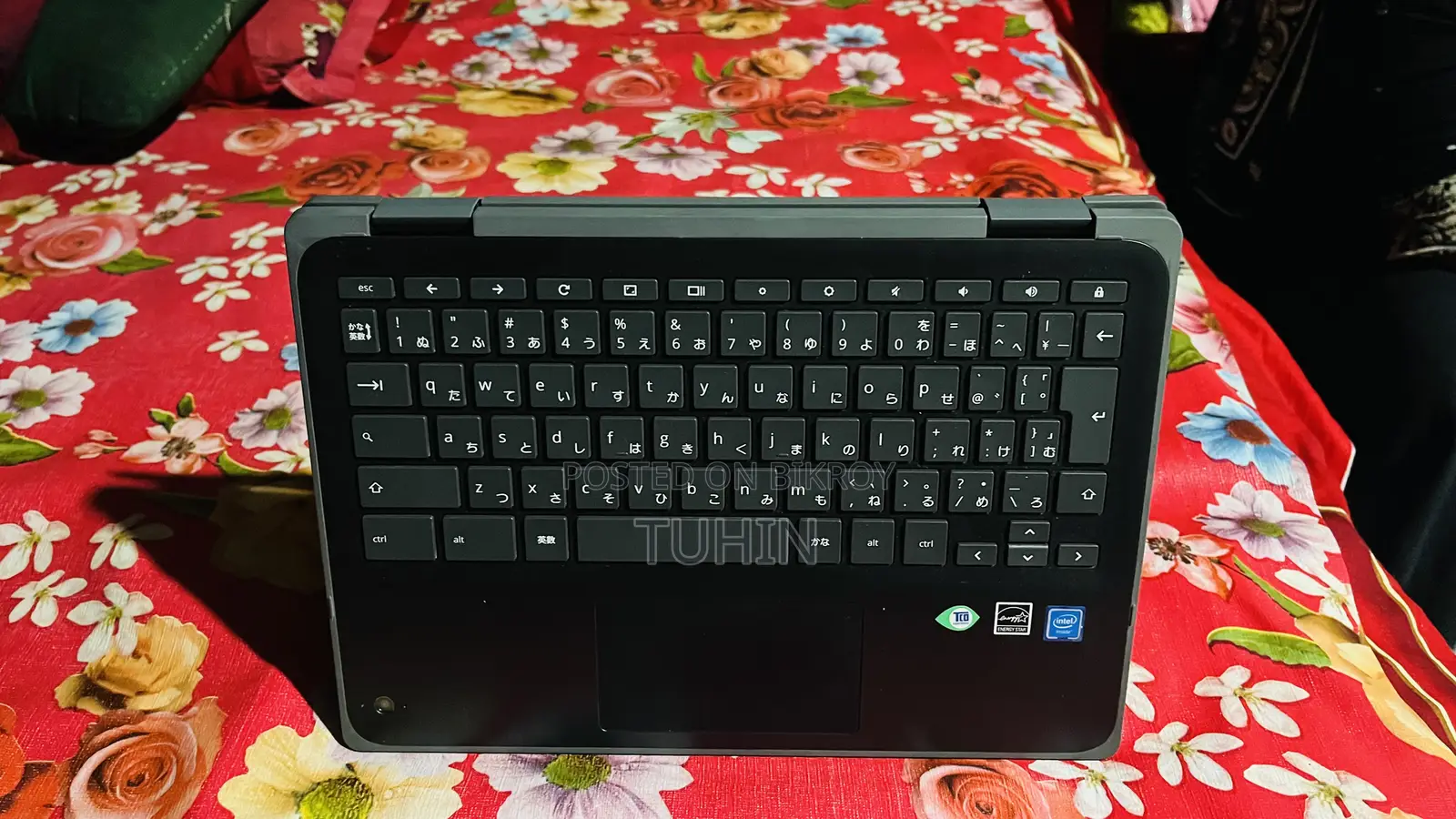 Laptop HP Chromebook 4GB Intel SSD 32GB
