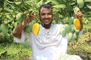 বাগান ফ্রেশ রুপালি আম